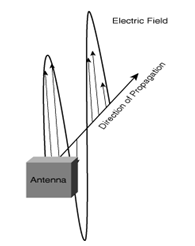 Vertical Polarization