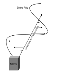 Horizontal Polarization