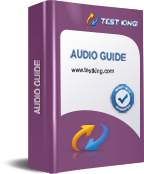 Audio Guide Audio Guide